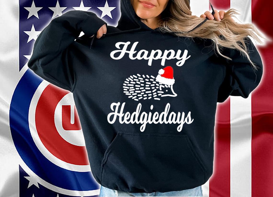 Hedgehog Christmas Holiday Gift Hedgie With Santa Hat T-Shirt t-shirt hoodie