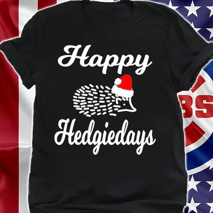 Hedgehog Christmas Holiday Gift Hedgie With Santa Hat T-Shirt t-shirt shirt