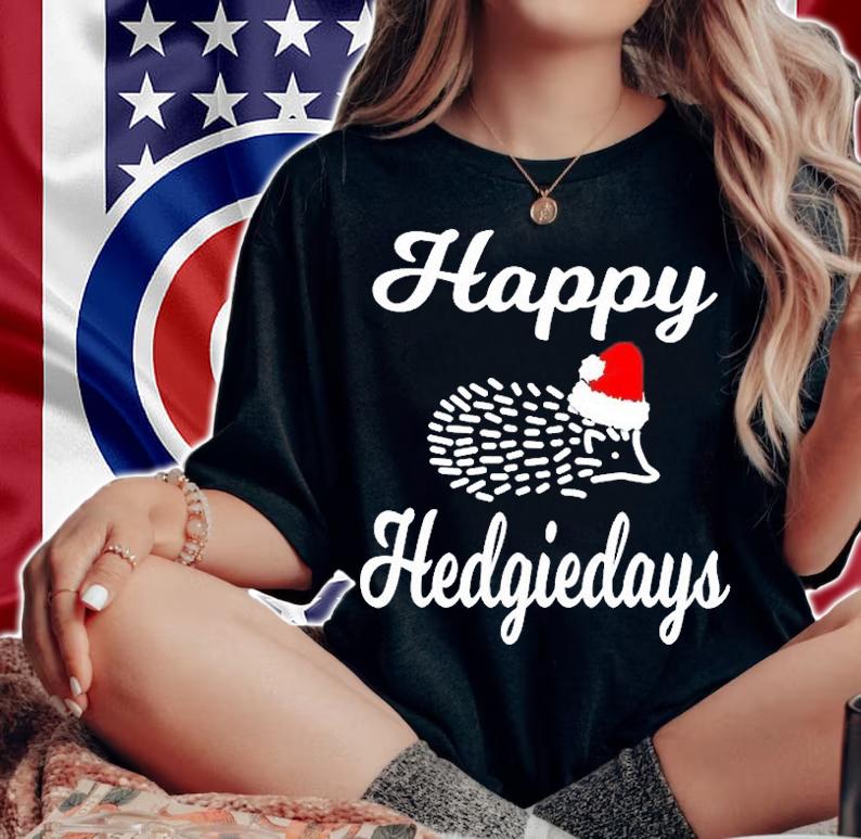 Hedgehog Christmas Holiday Gift Hedgie With Santa Hat T-Shirt t-shirt woman shirt