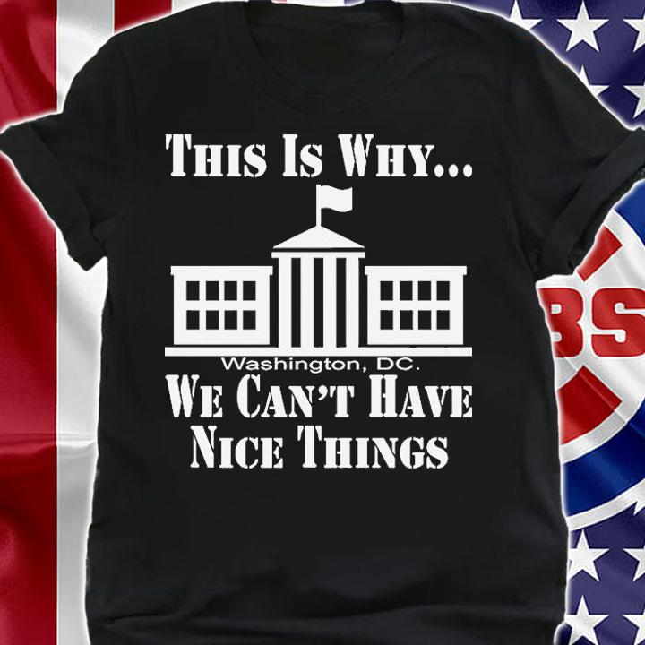 This Is Why We Cant Have Nice Things Politics T-Shirt t-shirt shirt