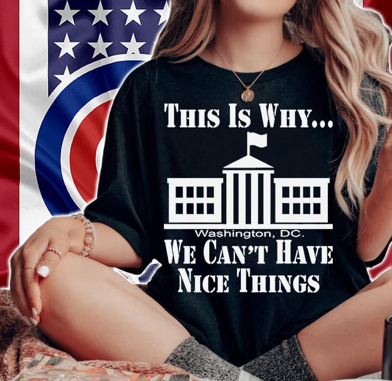 This Is Why We Cant Have Nice Things Politics T-Shirt t-shirt woman shirt