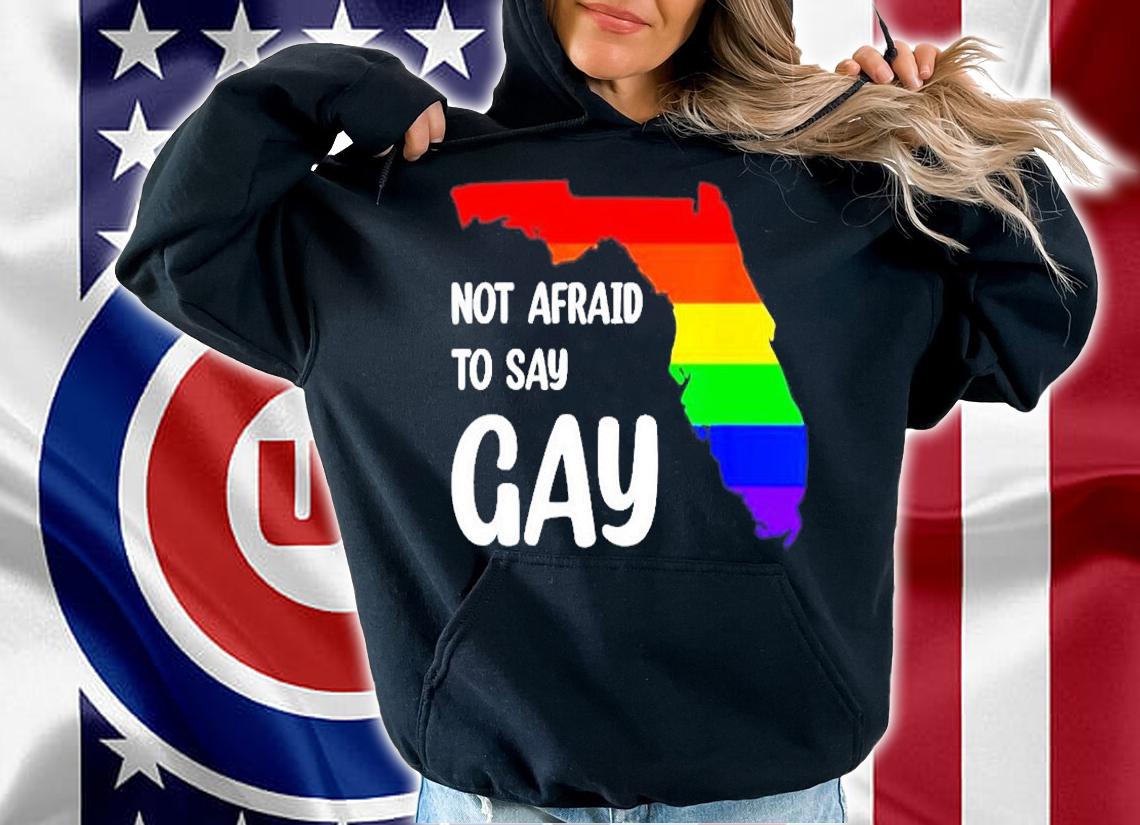 Florida Not Afraid To Say Gay T-Shirt hoodie