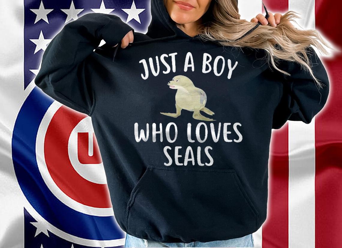 Just A Boy Who Loves Seals Funny Seal Shirt hoodie