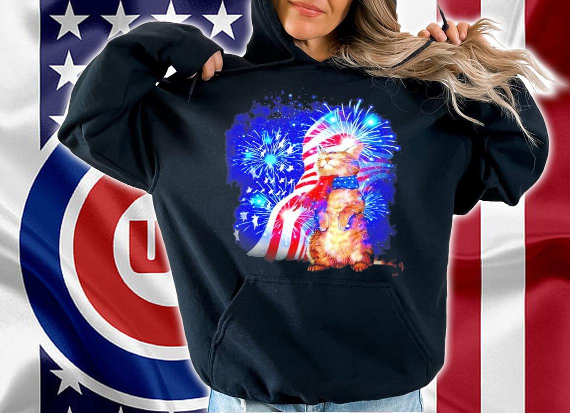 Cat Feels Independence Day Atmosphere 4th of July shirt