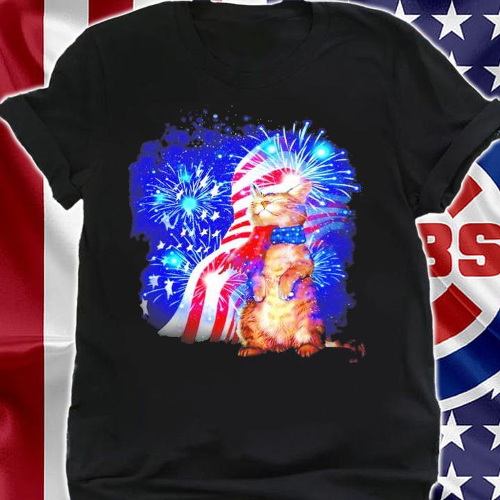 Cat Feels Independence Day Atmosphere 4th of July shirt