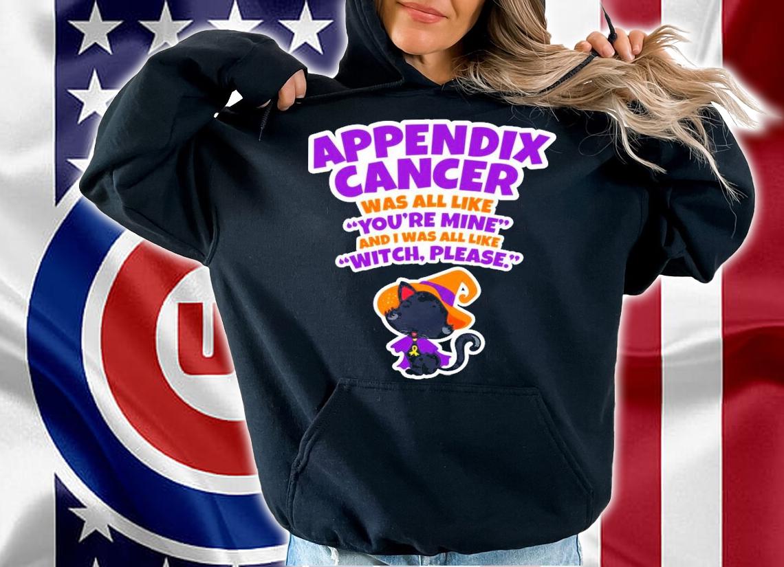 Black Cat Witch Hat Appendix Cancer Was All Like You're Mine And I Was All Like Witch Please Shirt hoodie